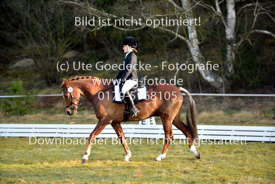 2018-4-8--Dressur-WB-E_034.jpg