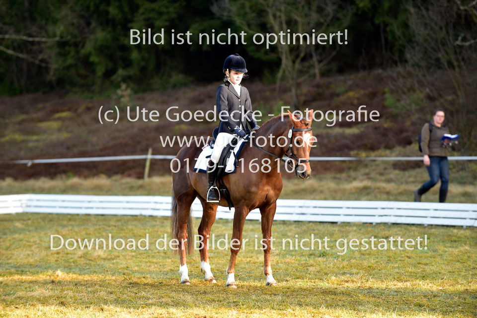 2018-4-8--Dressur-WB-E_038.jpg