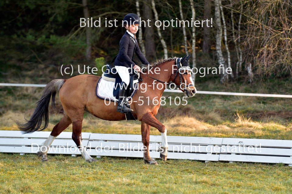 2018-4-8--Dressur-WB-E_048.jpg