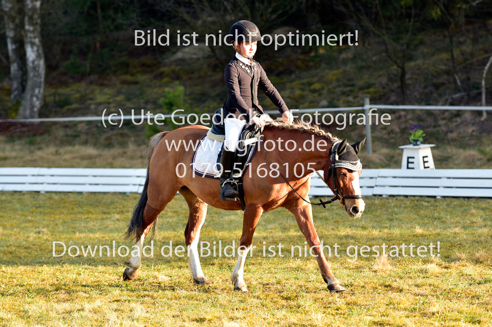 2018-4-8--Dressur-WB-E_050.jpg
