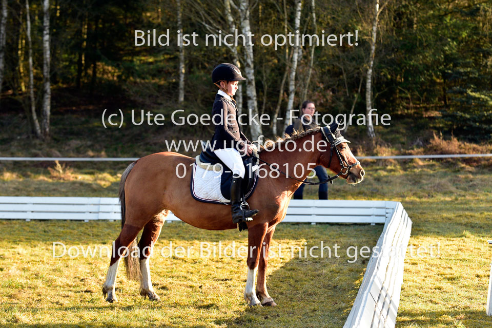 2018-4-8--Dressur-WB-E_051.jpg