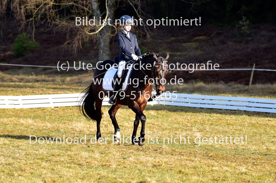 2018-4-8--Dressur-WB-E_102.jpg