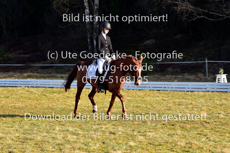 2018-4-8--Dressur-WB-E_107.jpg