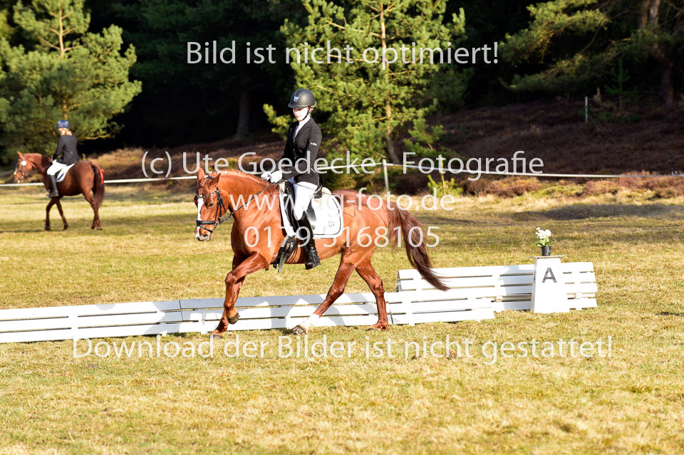 2018-4-8--Dressur-WB-E_109.jpg