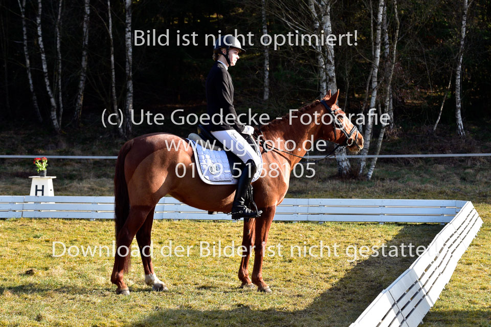 2018-4-8--Dressur-WB-E_119.jpg