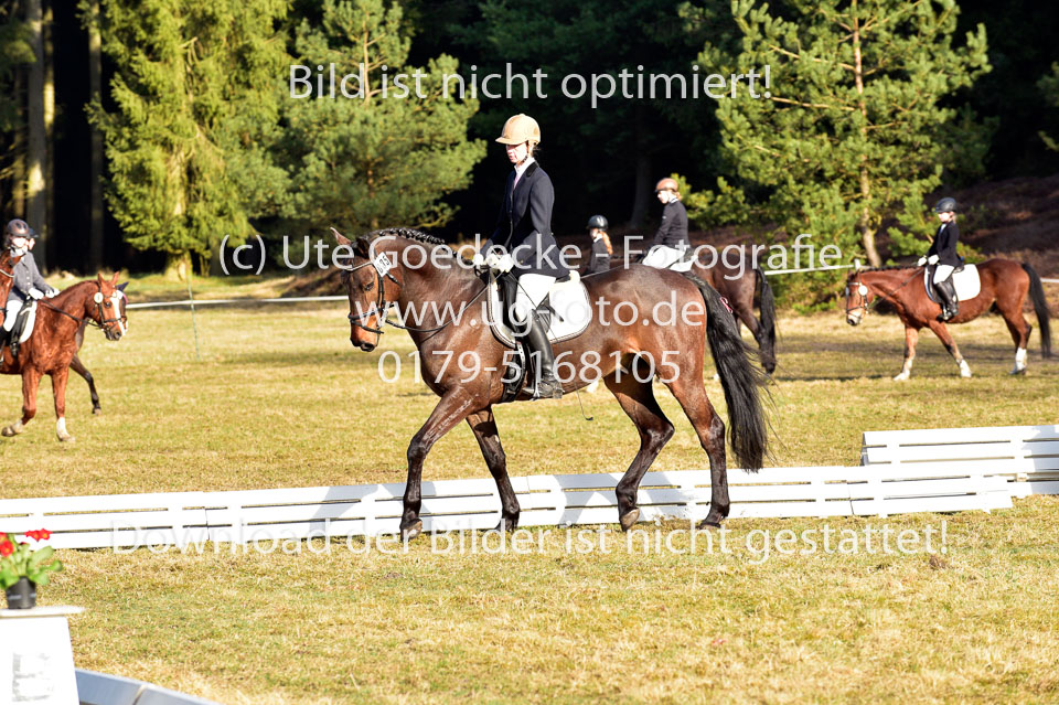 2018-4-8--Dressur-WB-E_128.jpg