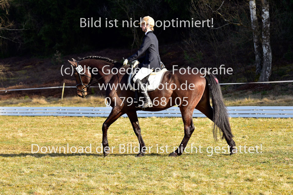 2018-4-8--Dressur-WB-E_130.jpg