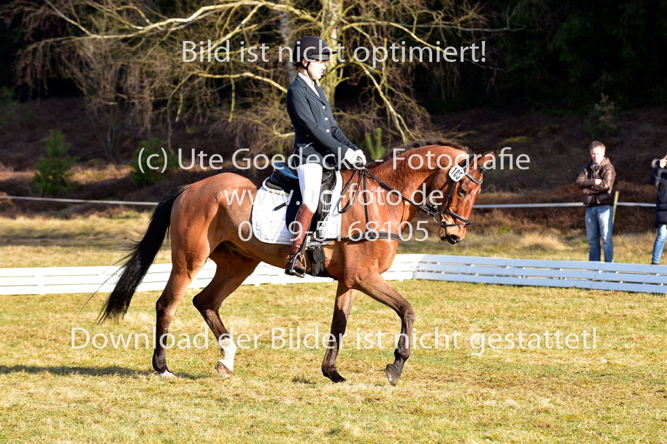 2018-4-8--Dressur-WB-E_138.jpg