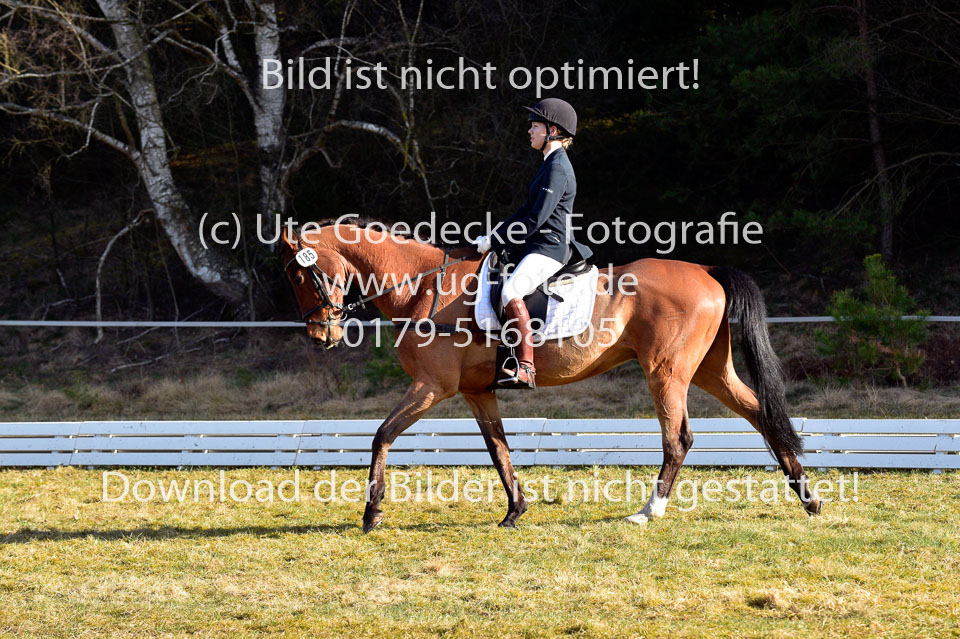 2018-4-8--Dressur-WB-E_142.jpg