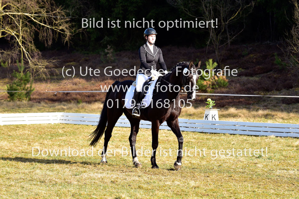 2018-4-8--Dressur-WB-E_159.jpg