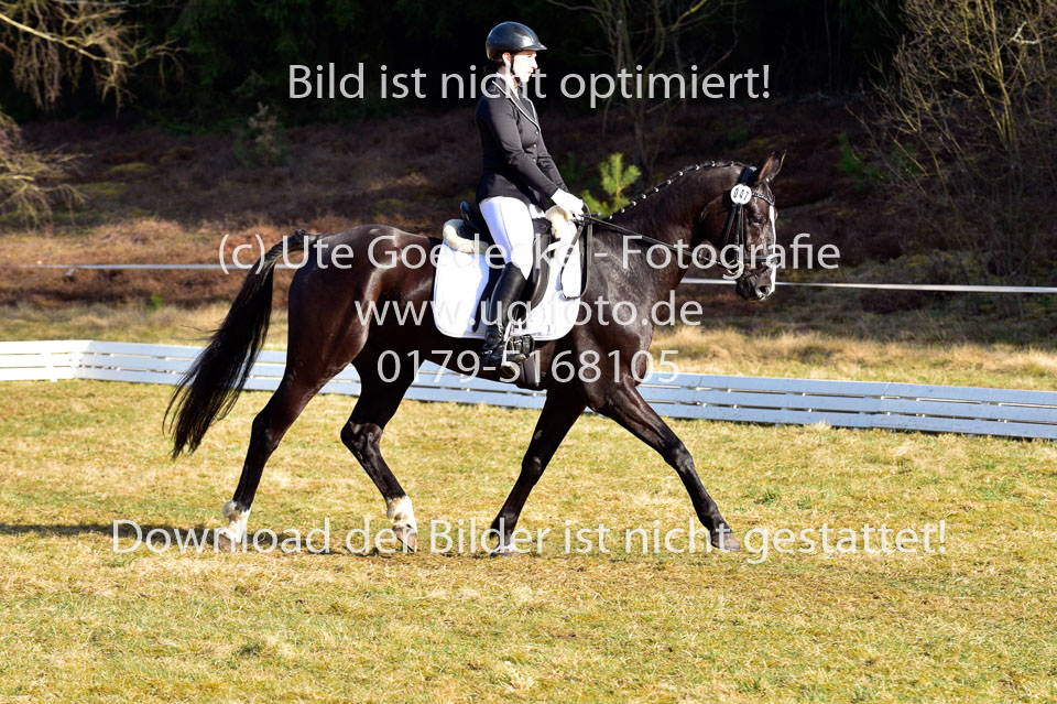 2018-4-8--Dressur-WB-E_162.jpg