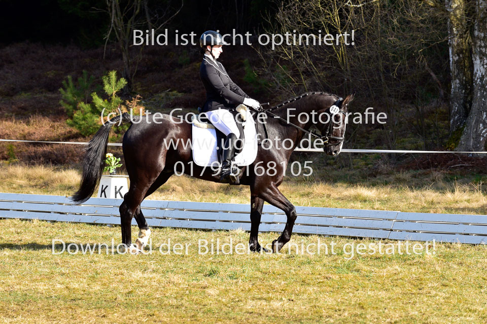 2018-4-8--Dressur-WB-E_164.jpg