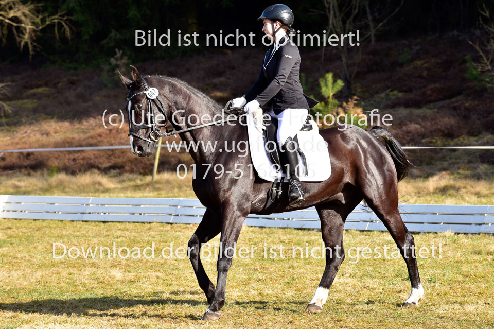 2018-4-8--Dressur-WB-E_170.jpg