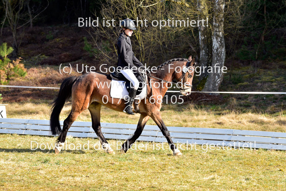 2018-4-8--Dressur-WB-E_180.jpg