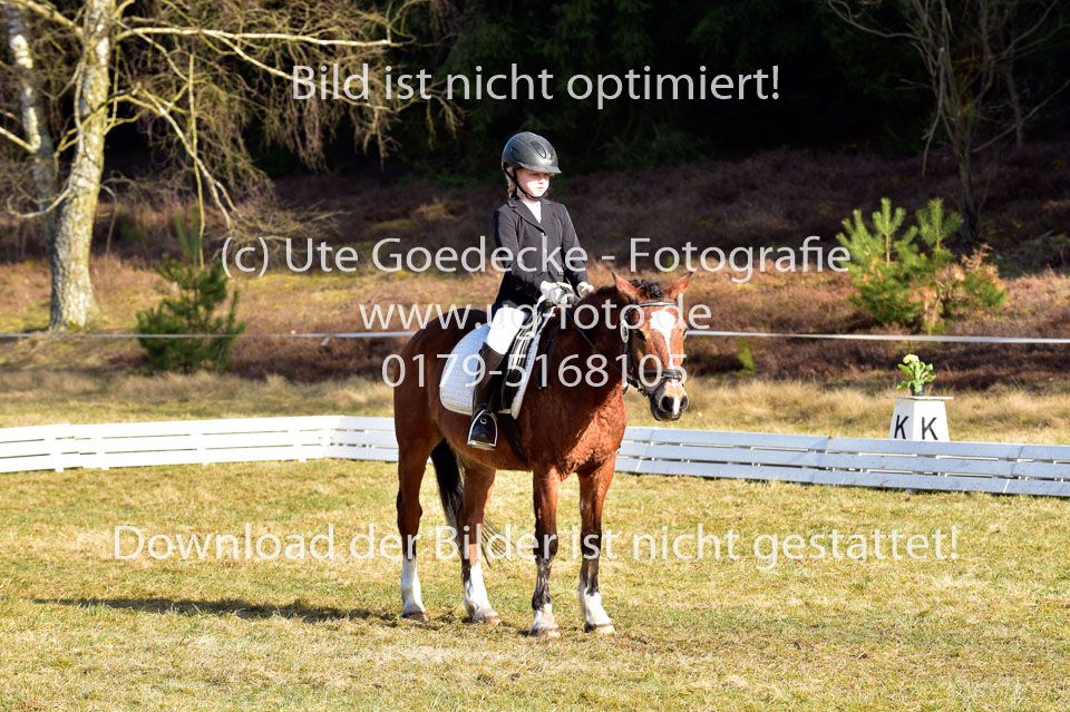 2018-4-8--Dressur-WB-E_187.jpg