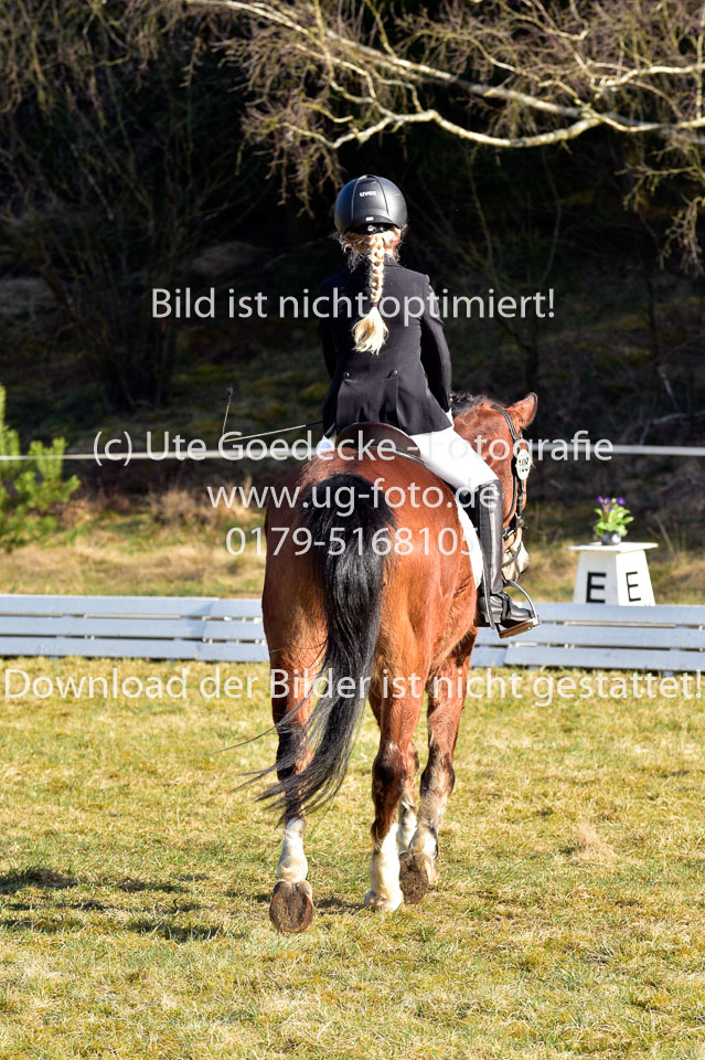 2018-4-8--Dressur-WB-E_195.jpg