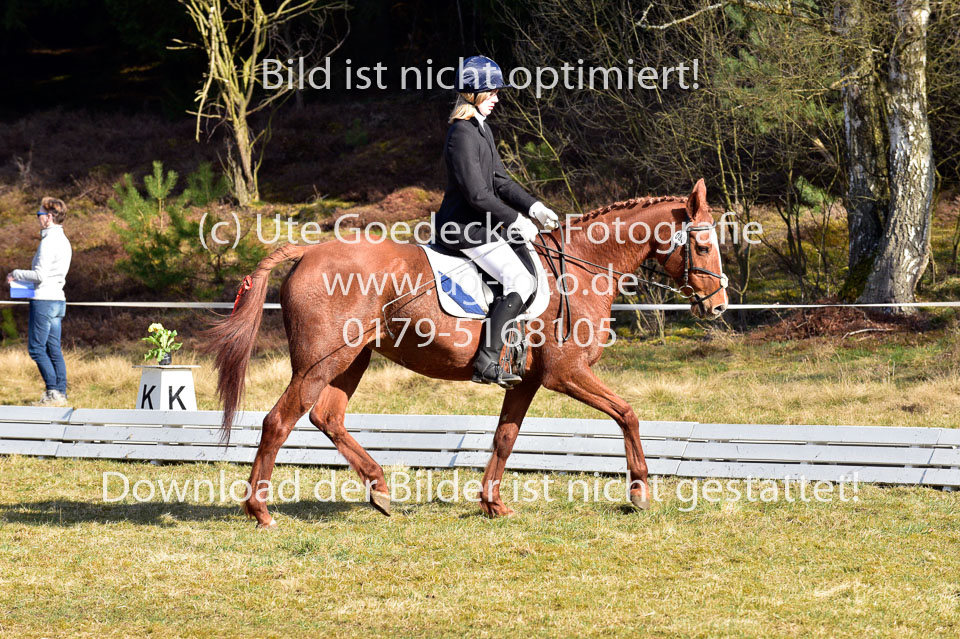 2018-4-8--Dressur-WB-E_234.jpg