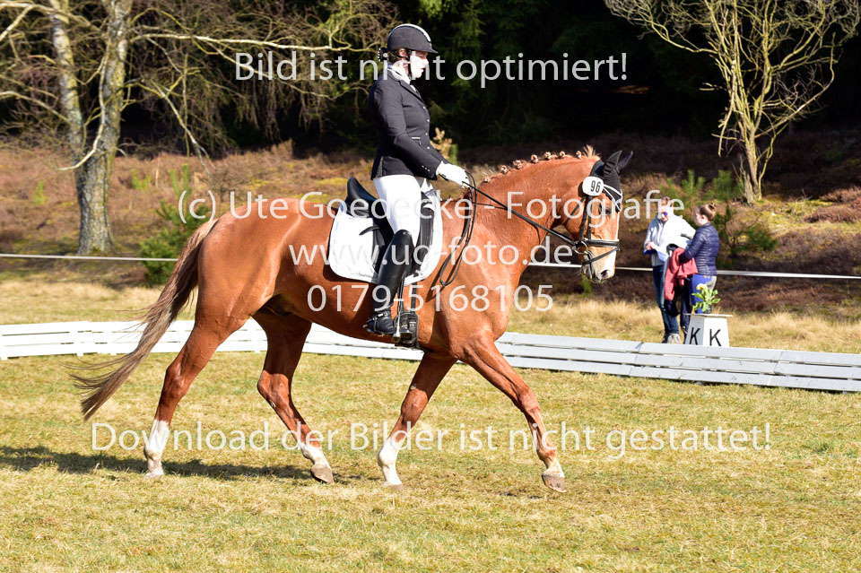 2018-4-8--Dressur-WB-E_245.jpg