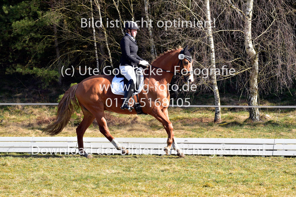 2018-4-8--Dressur-WB-E_250.jpg
