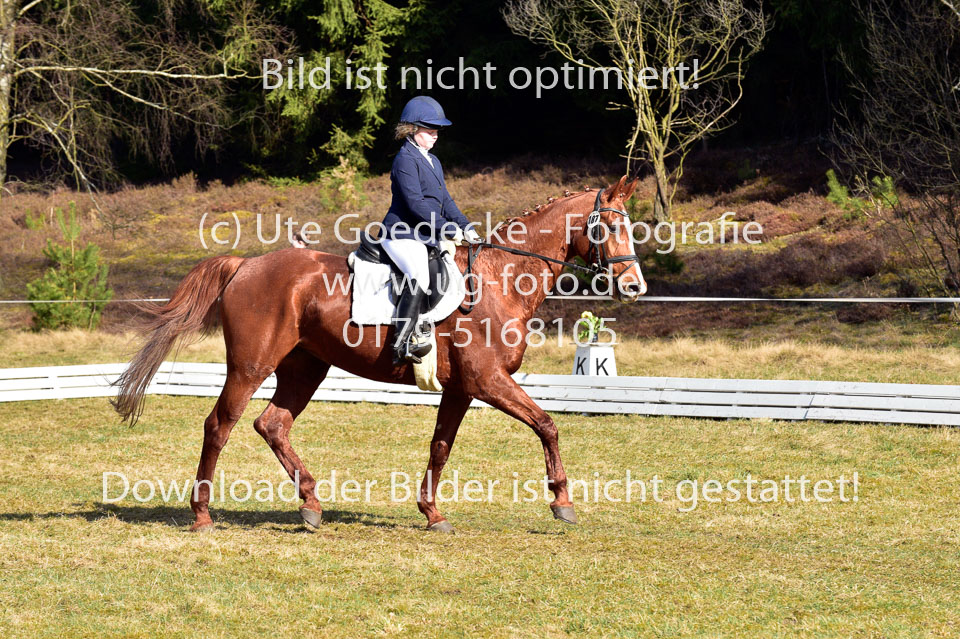 2018-4-8--Dressur-WB-E_274.jpg