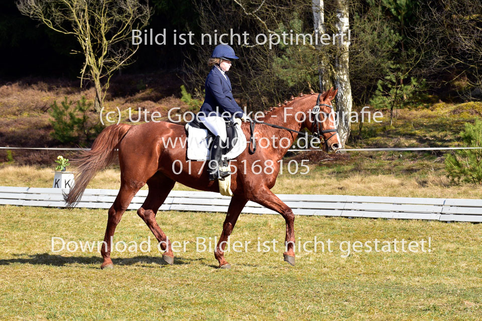 2018-4-8--Dressur-WB-E_275.jpg