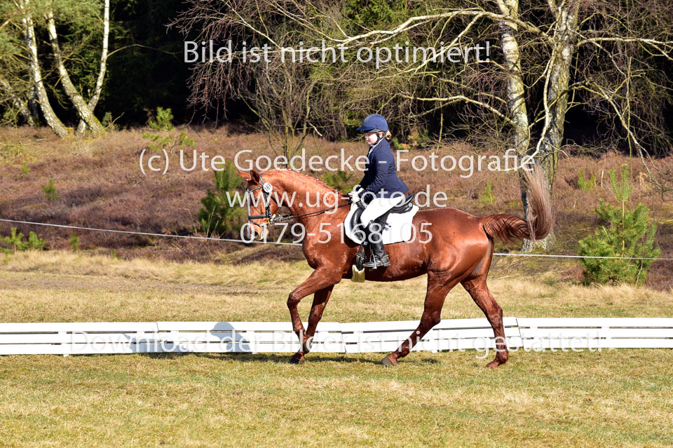 2018-4-8--Dressur-WB-E_277.jpg