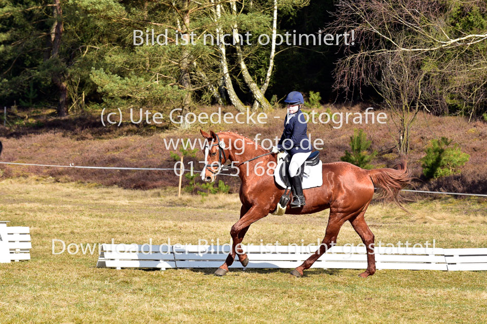 2018-4-8--Dressur-WB-E_278.jpg