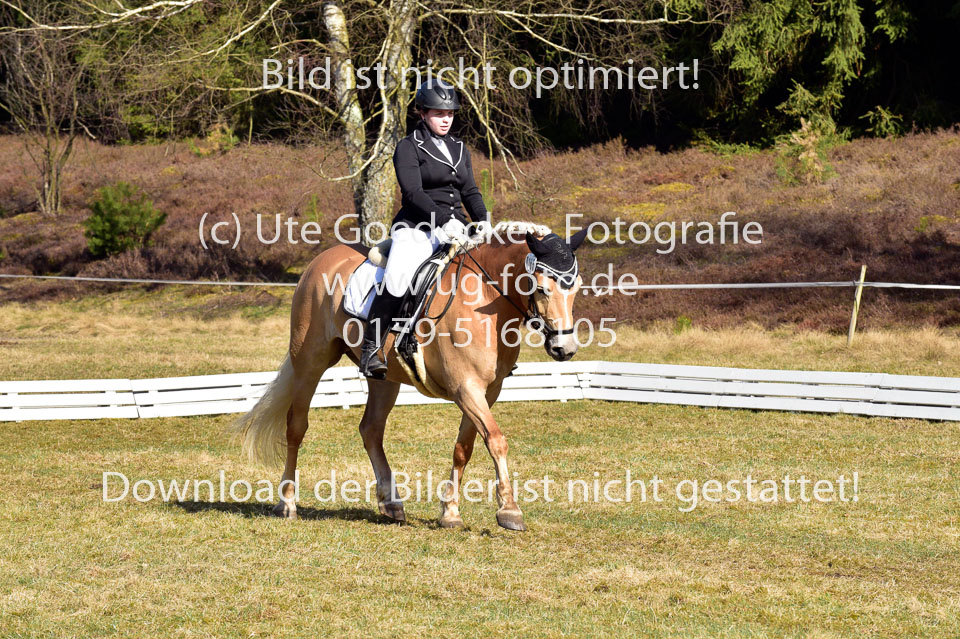 2018-4-8--Dressur-WB-E_320.jpg