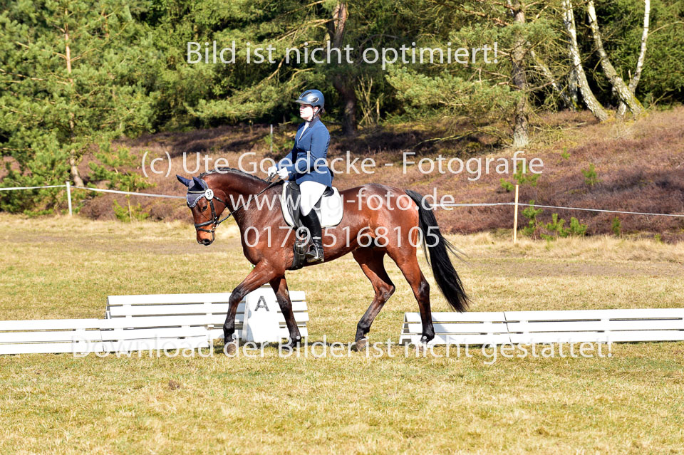 2018-4-8--Dressur-WB-E_333.jpg