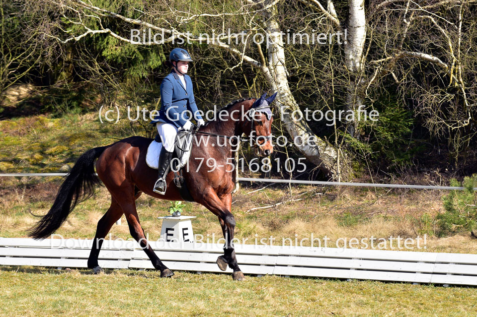 2018-4-8--Dressur-WB-E_342.jpg
