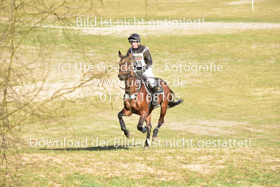 8-4-18---Stilgelände-WB-A-_002.jpg