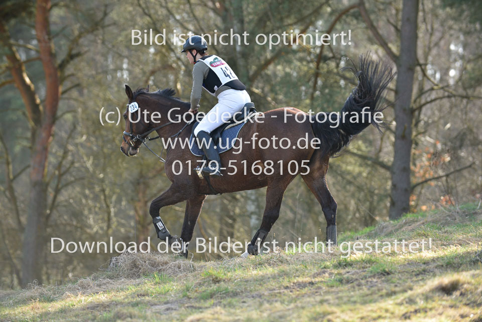 8-4-18---Stilgelände-WB-A-_027.jpg