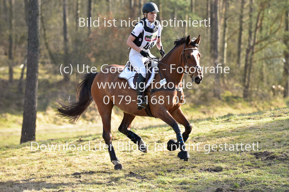 8-4-18---Stilgelände-WB-A-_056.jpg
