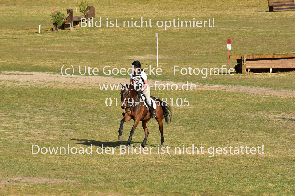 8-4-18---Stilgelände-WB-A-_087.jpg