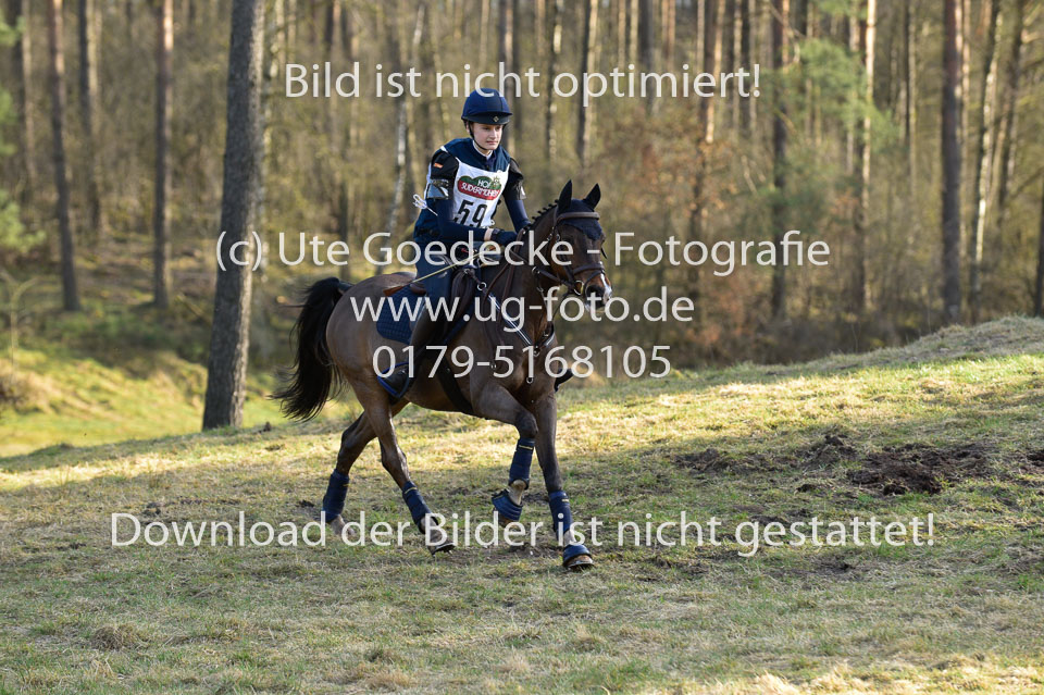 8-4-18---Stilgelände-WB-A-_126.jpg