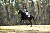 8-4-18-Stilgelände-WB-E_134.jpg