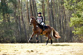 8-4-18-Stilgelände-WB-E_164.jpg