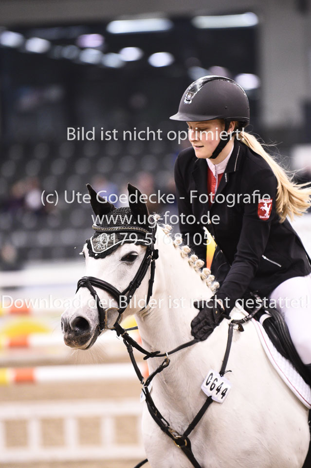 28012018-BNCH-Ponyspringen_109.jpg