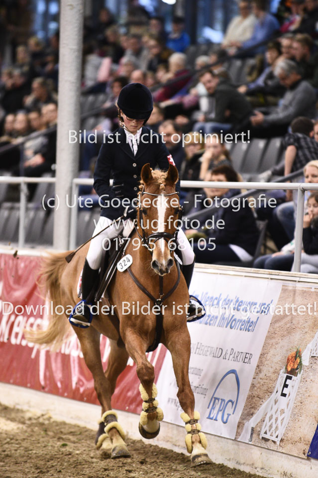 28012018-BNCH-Ponyspringen_119.jpg