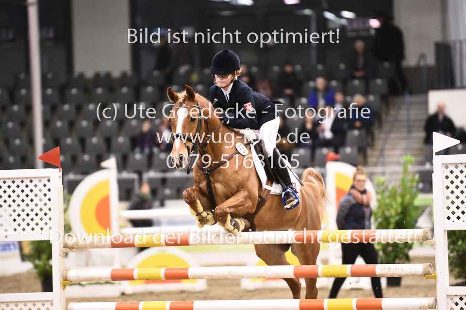 28012018-BNCH-Ponyspringen_122.jpg