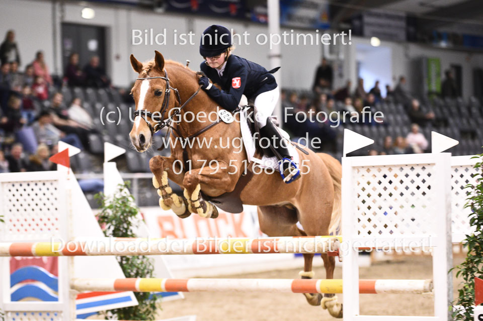 28012018-BNCH-Ponyspringen_123.jpg