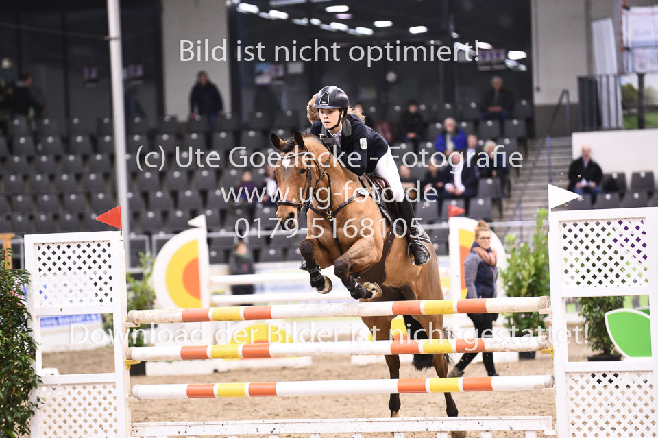 28012018-BNCH-Ponyspringen_131.jpg