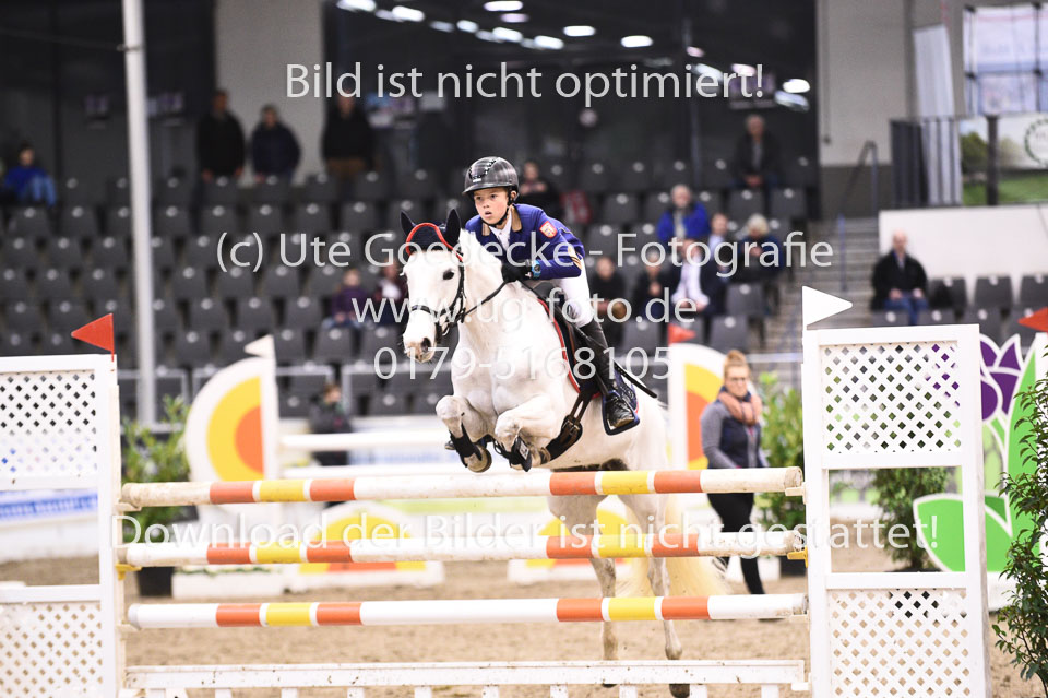 28012018-BNCH-Ponyspringen_169.jpg