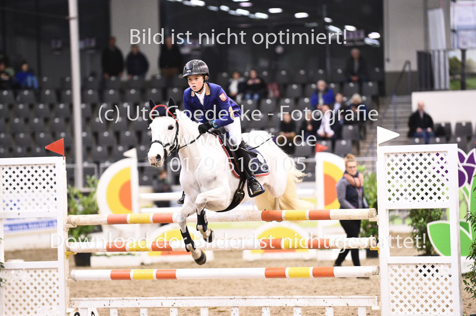 28012018-BNCH-Ponyspringen_170.jpg
