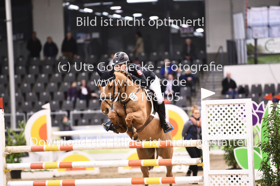 28012018-BNCH-Ponyspringen_183.jpg