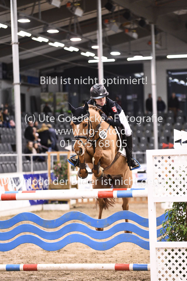 28012018-BNCH-Ponyspringen_186.jpg