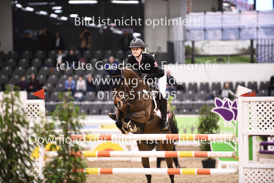 28012018-BNCH-Ponyspringen_194.jpg