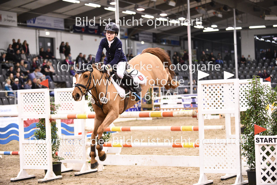 28012018-BNCH-Ponyspringen_200.jpg