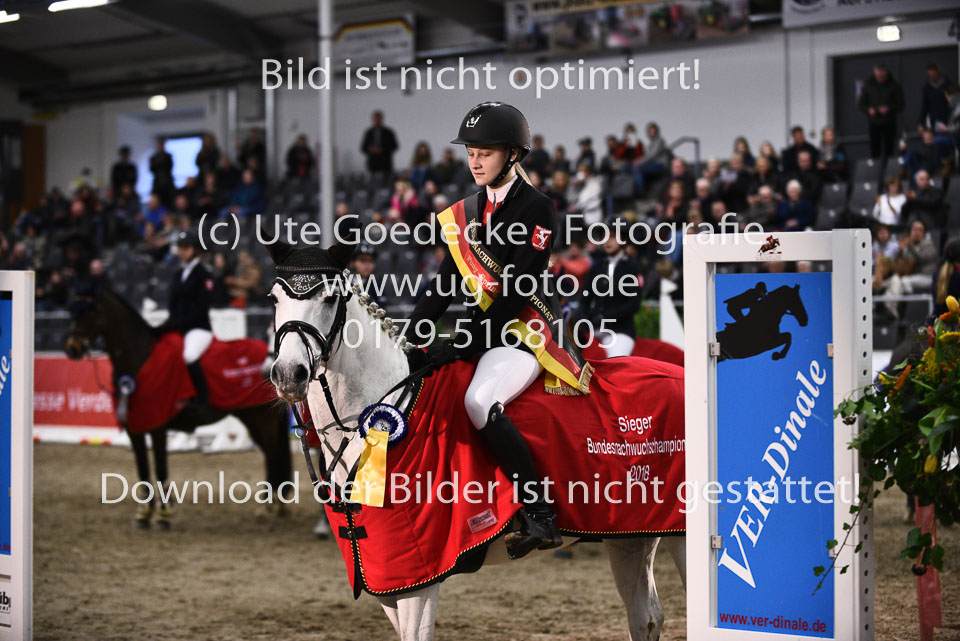 28012018-BNCH-Ponyspringen_219.jpg