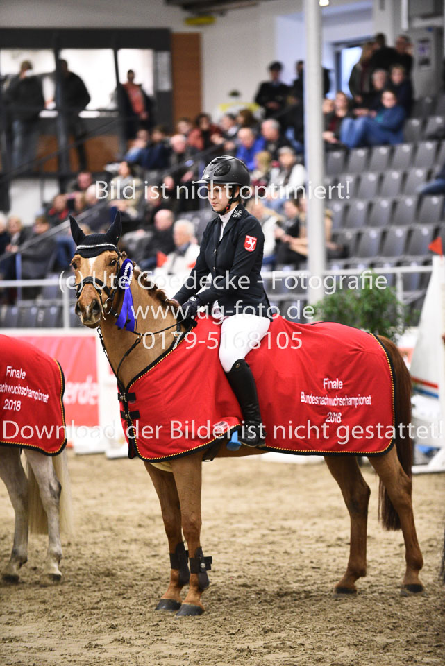 28012018-BNCH-Ponyspringen_241.jpg